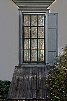 Cellar Door