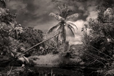 Infrared Photo Of A Lagoon In Costa Rica