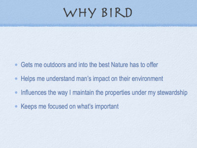 Why Bird