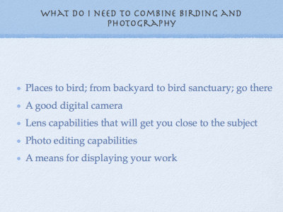 Combining Birding & Photography