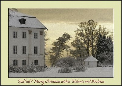 _D7O8996cs Christmas.jpg