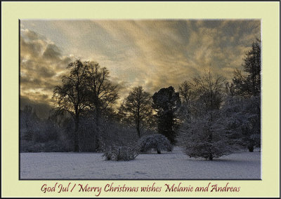 _D7O9005cs Christmas.jpg