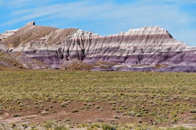 The Purple Hills