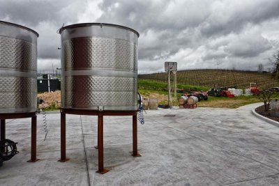 Basketball at the winery