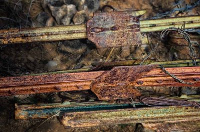 Old fence posts