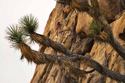 Two climbers