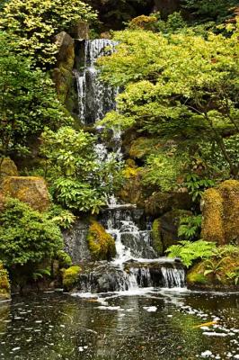 Japanese Gardens, Portland