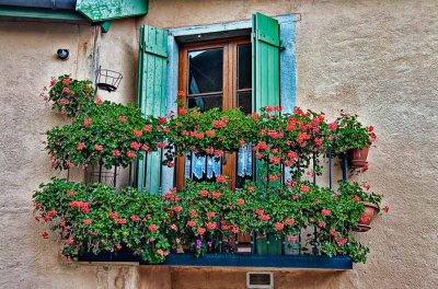 Flowered window