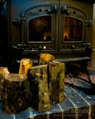 Jan 23: Drying the firewood
