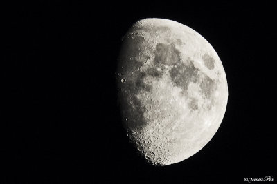 12-063 Moon