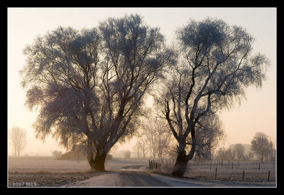 reiflicher Sonnenaufgang