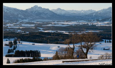 Nobis view