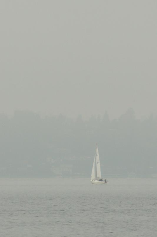 Fall fog sailing.jpg