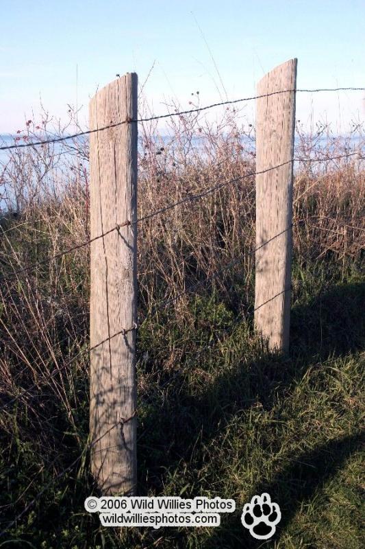 A Fence line 06