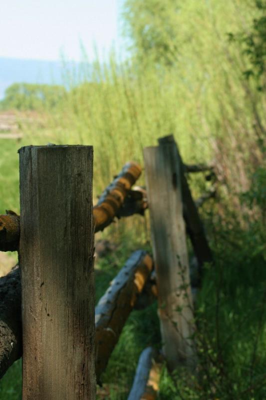 Log Fence