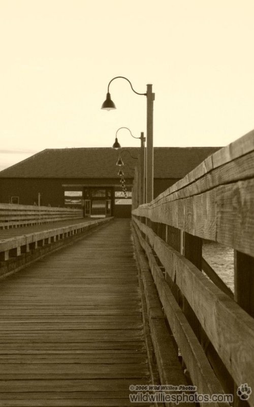 Lit Walk s