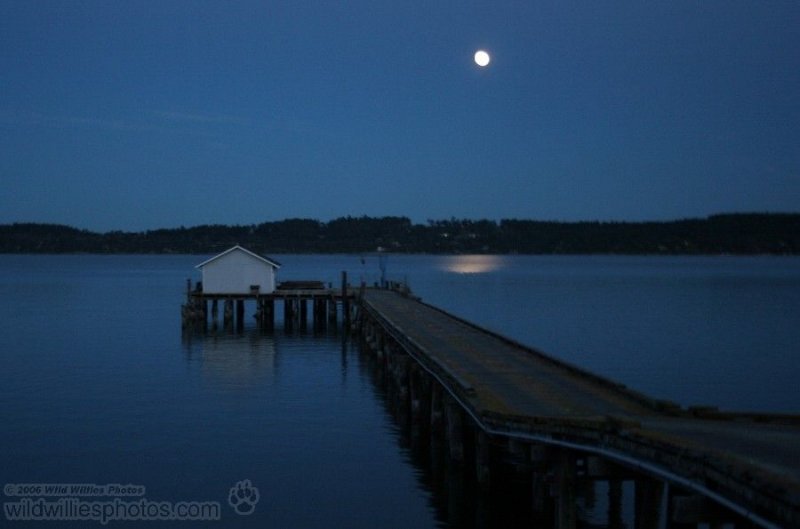 Moon lit Dock