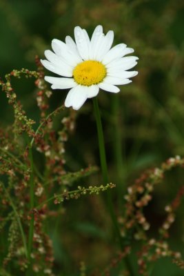 2011  001.JPG
