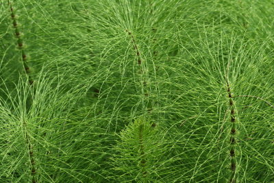 2011  005.JPG