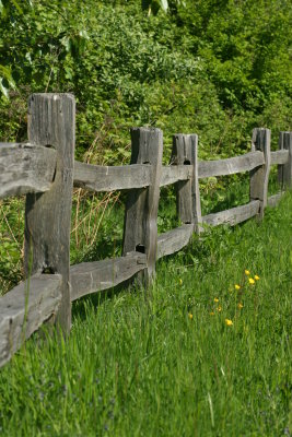 Fenced