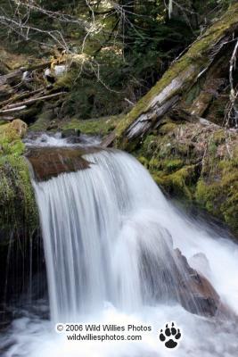 g4/02/371402/3/59669064.Naturesshower06wtmk.jpg