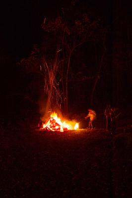 Stoking the bonfire w/marshmallows
