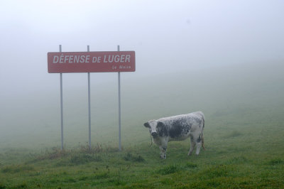 les Vosges