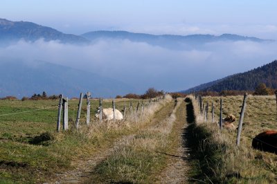 les Vosges