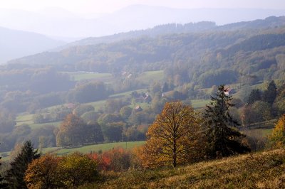 les Vosges