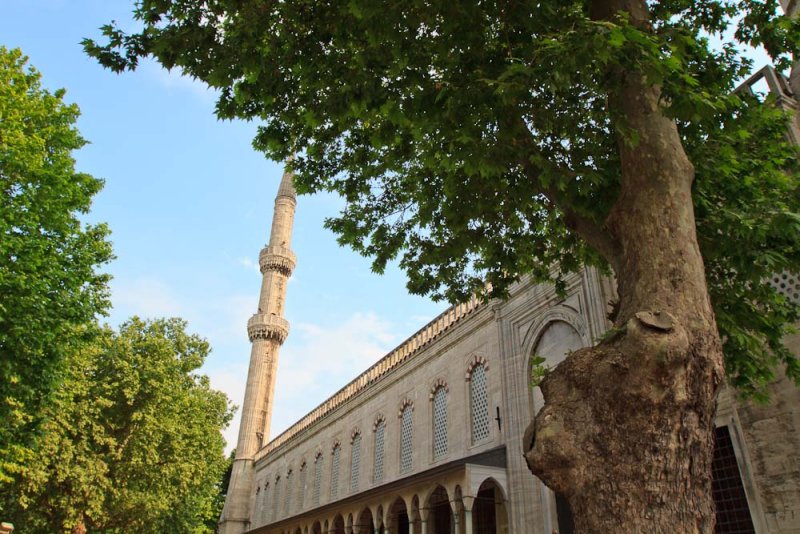 Blue Mosque