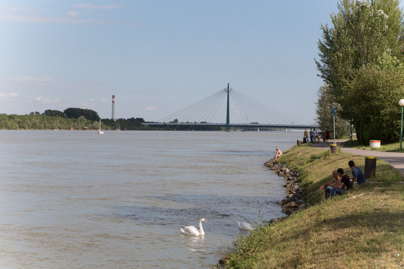 The Danube