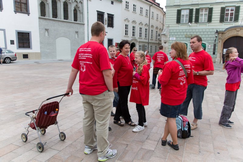 Pro-family demonstration