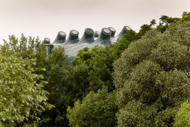 a giant octopus higing in the shrubbery