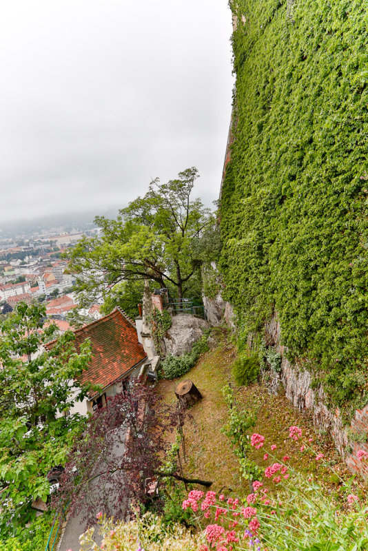 From the Castle Tower