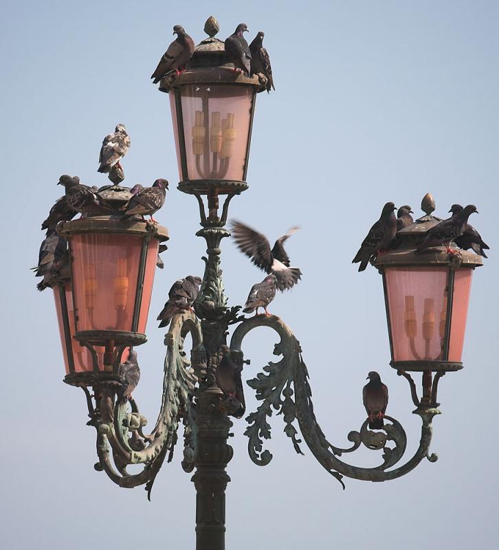 Narnia Lampost