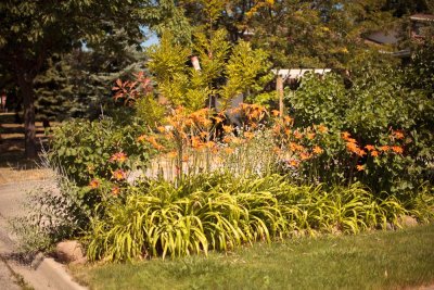 Exquisite garden