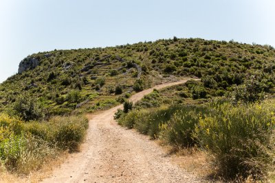 _Y8C3719.jpg