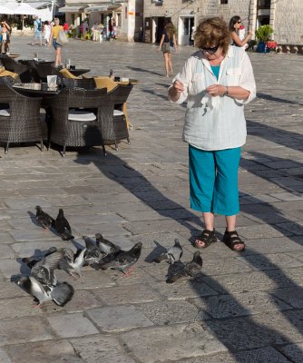 Pigeon time