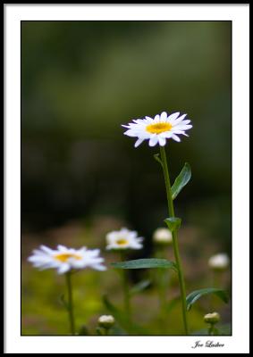 Reaching higher