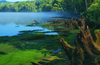 Sunrise on The Clinch River