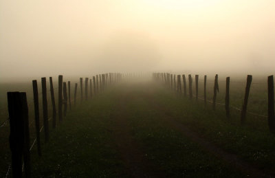 Lead Me To The Light