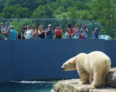 Toronto  Zoo