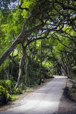 lane on Curacao