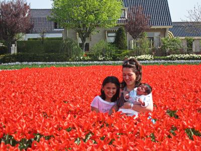 waking up in a red tulipfield.