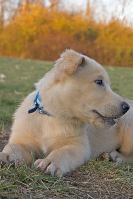 CRW_4076.jpg