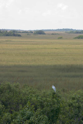 CRW_7258.jpg