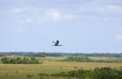 CRW_7264.jpg