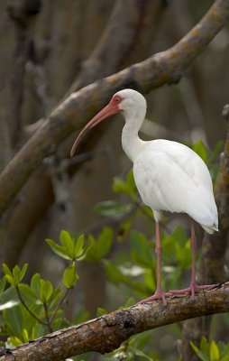 CRW_8005.jpg