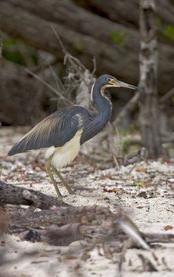 CRW_8023.jpg