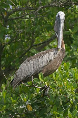 IMG_8246.jpg